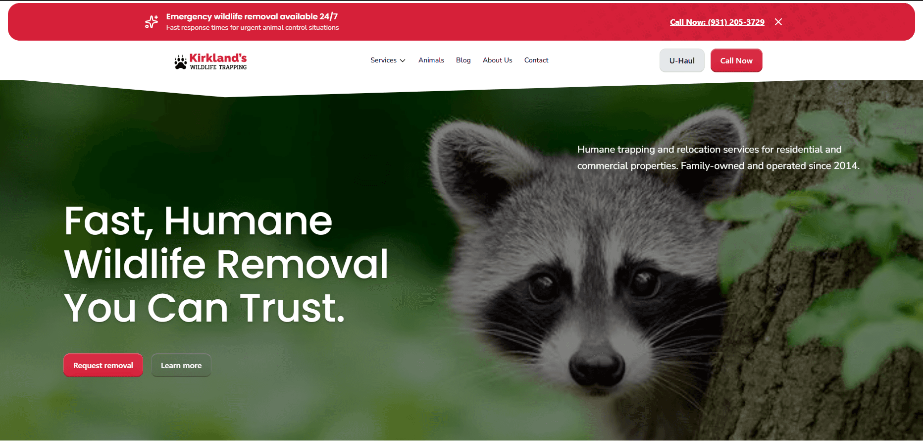 Kirkland's Wildlife website hero